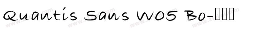 Quantis Sans W05 Bo字体转换